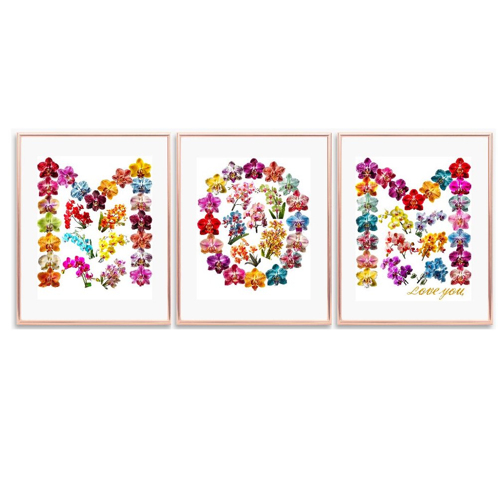 Print Art ORCHID FLOWERS 18 Colors Gift For MOM Birthday Set of 3 Unframed